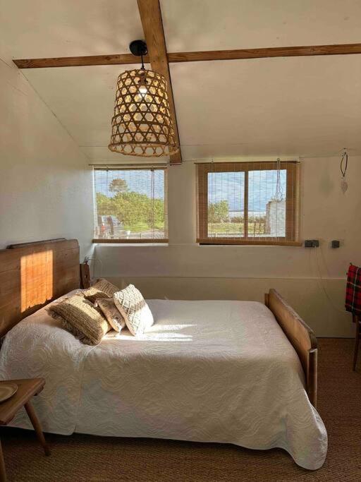 Cosy Cabane Boise Solaire, Balneo Bath Et Toilette Seche A La Ferme Mimizan Exterior foto